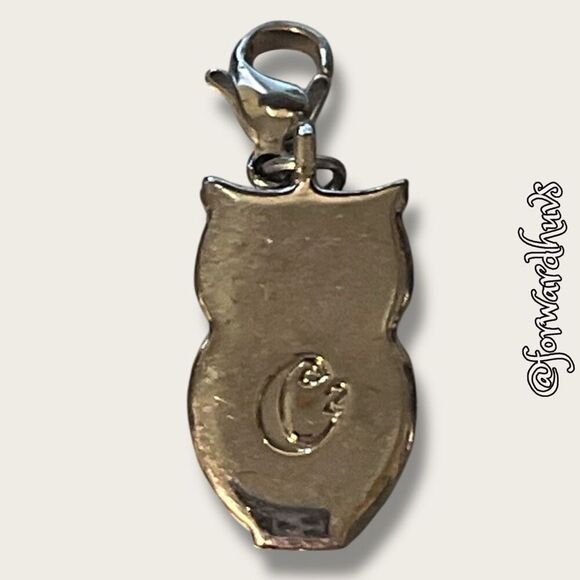 Bundle Sale 3 for $15 | Silver-Tone Owl Charm with Light Blue Rhinestone Eyes - Picture 5 of 9